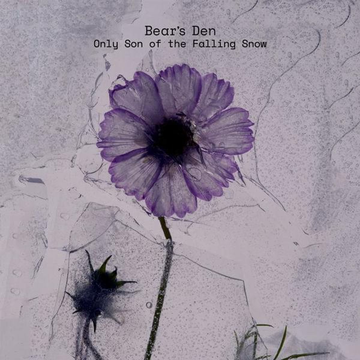 Drie songs op nieuwe ep Bear’s Den