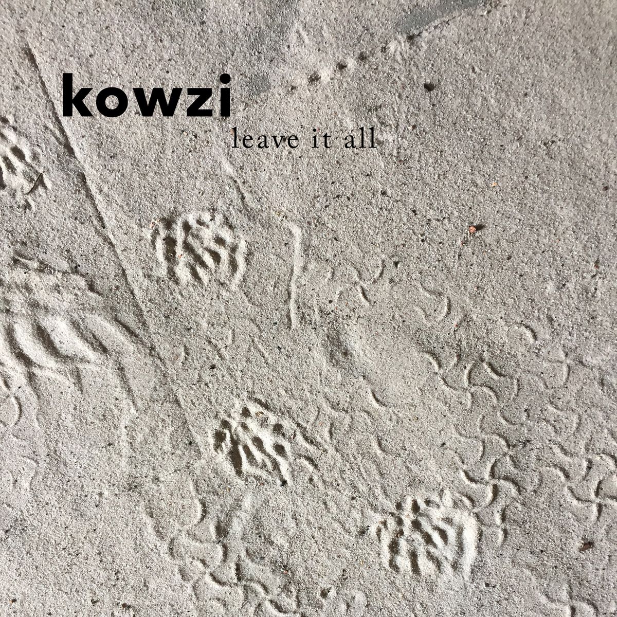 Kowzi - Leave It All