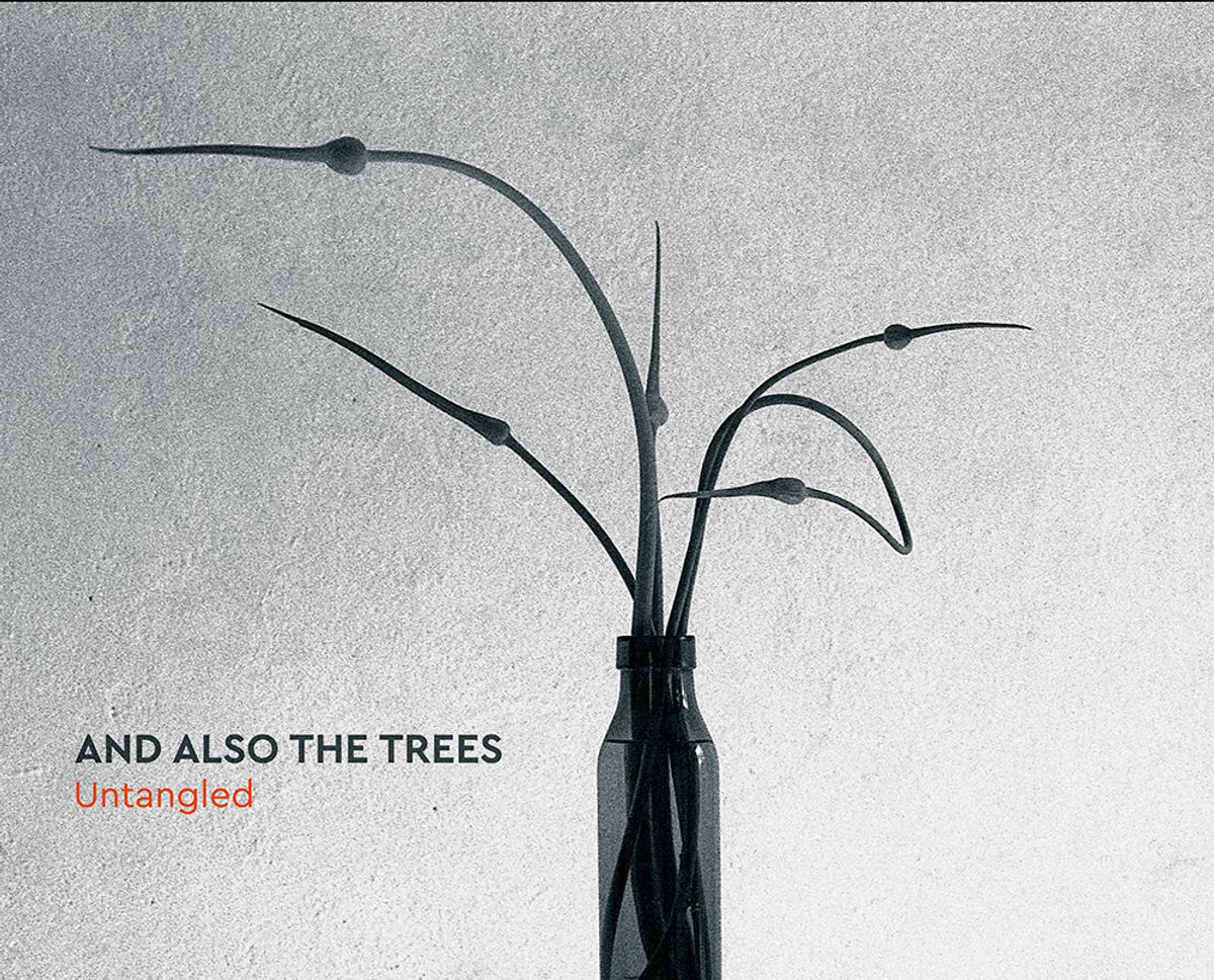 And Also The Trees - 'Untangled'