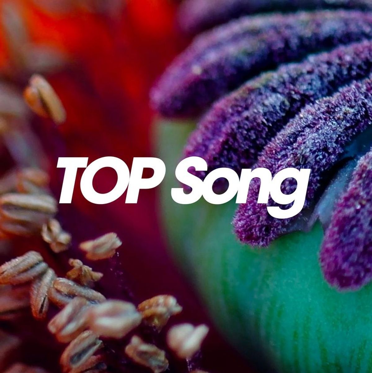 Thousands Of Poppies - Top Song