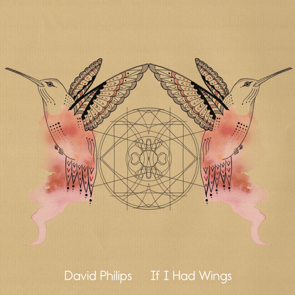 If I Had Wings