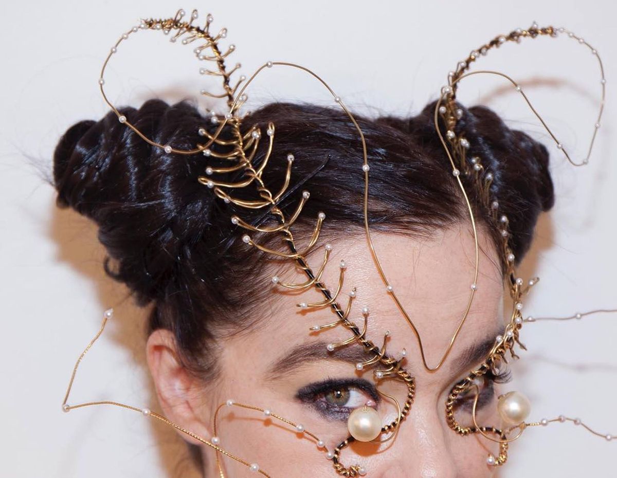 Björk brengt songboek uit
