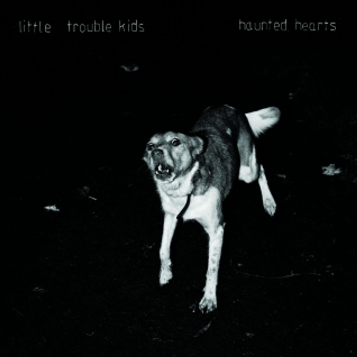 Haunted Hearts
