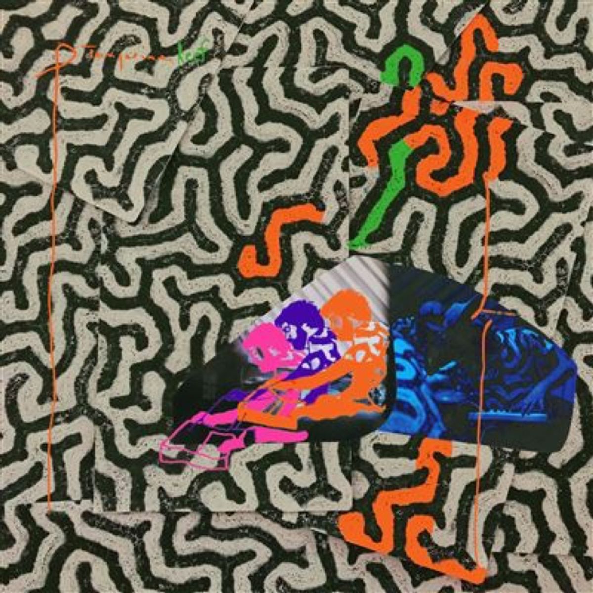 Animal Collective heeft dubbelalbum klaar staan