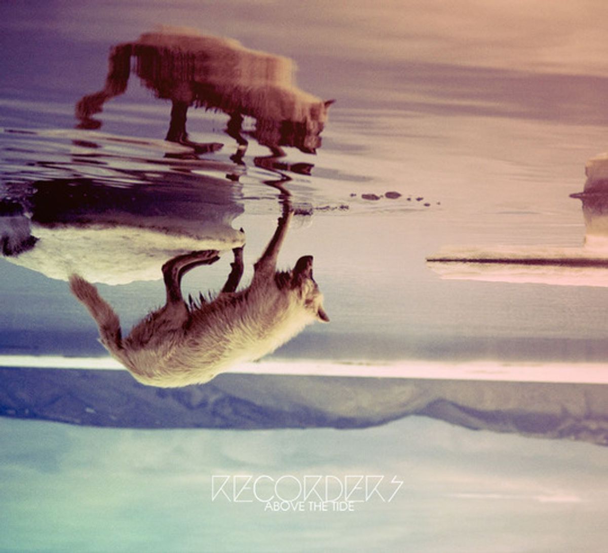 Above The Tide