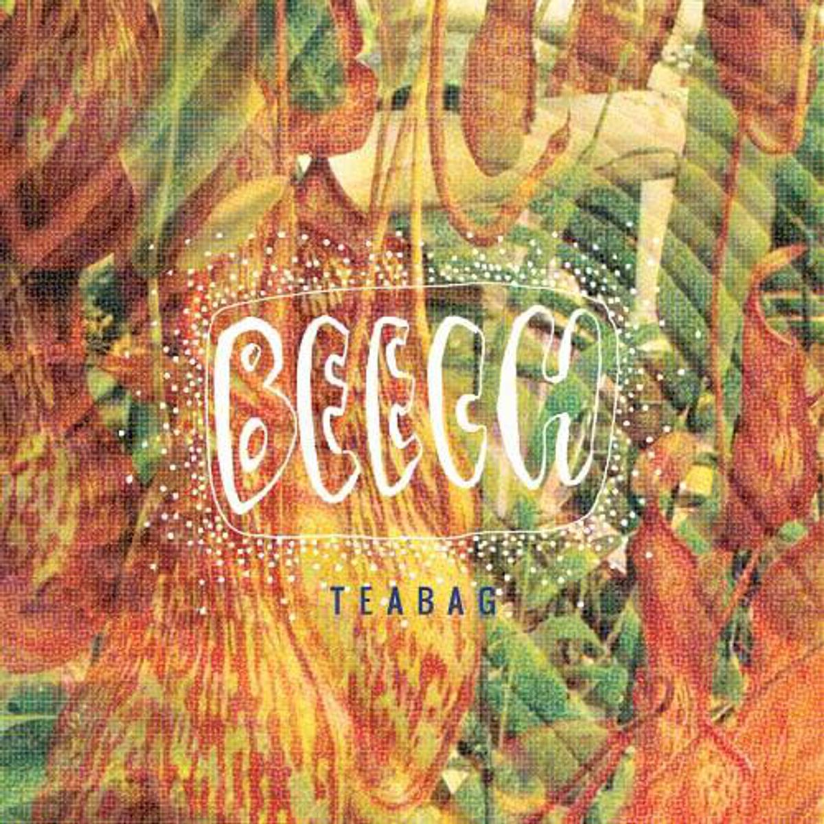 Beech - 'Teabag'