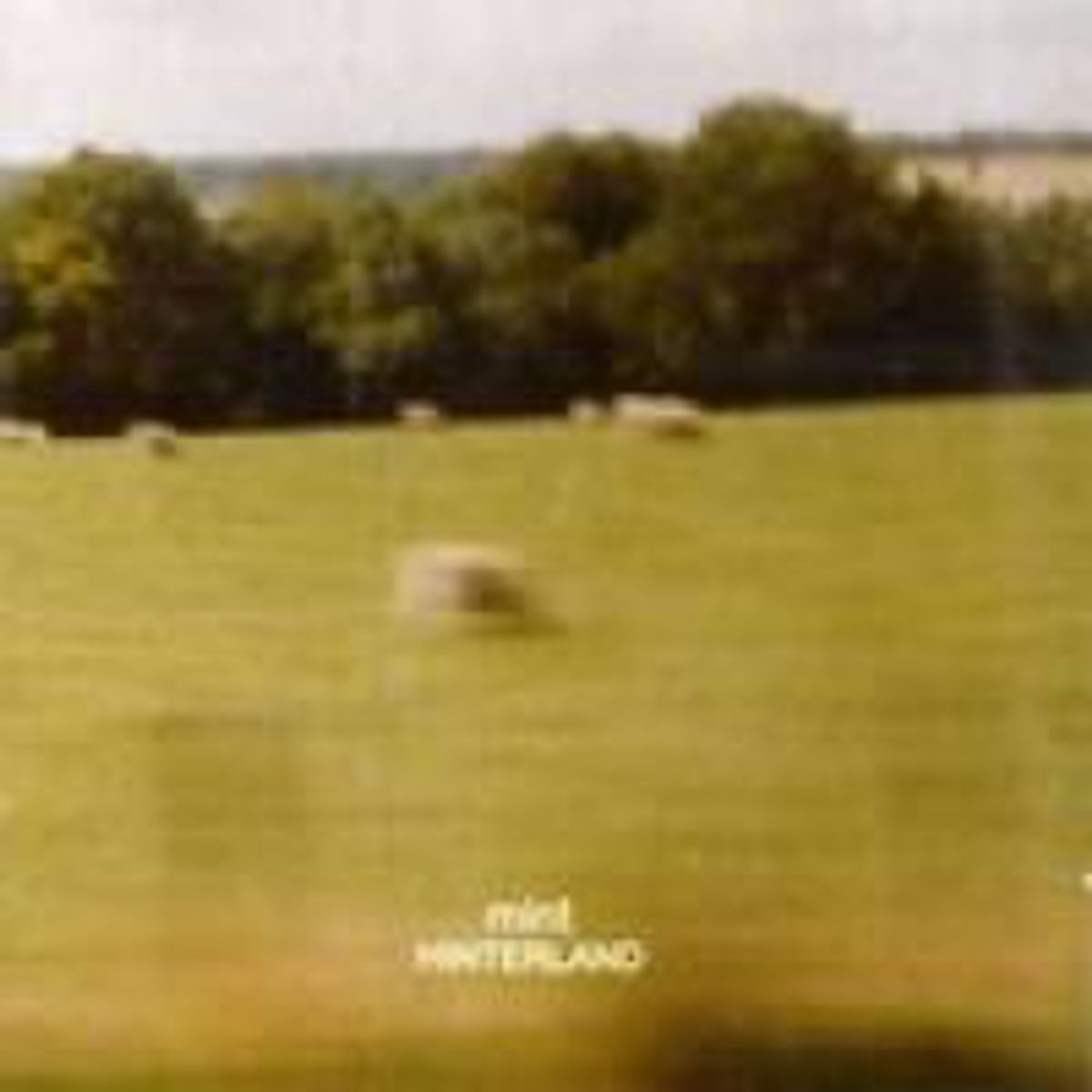 Hinterland