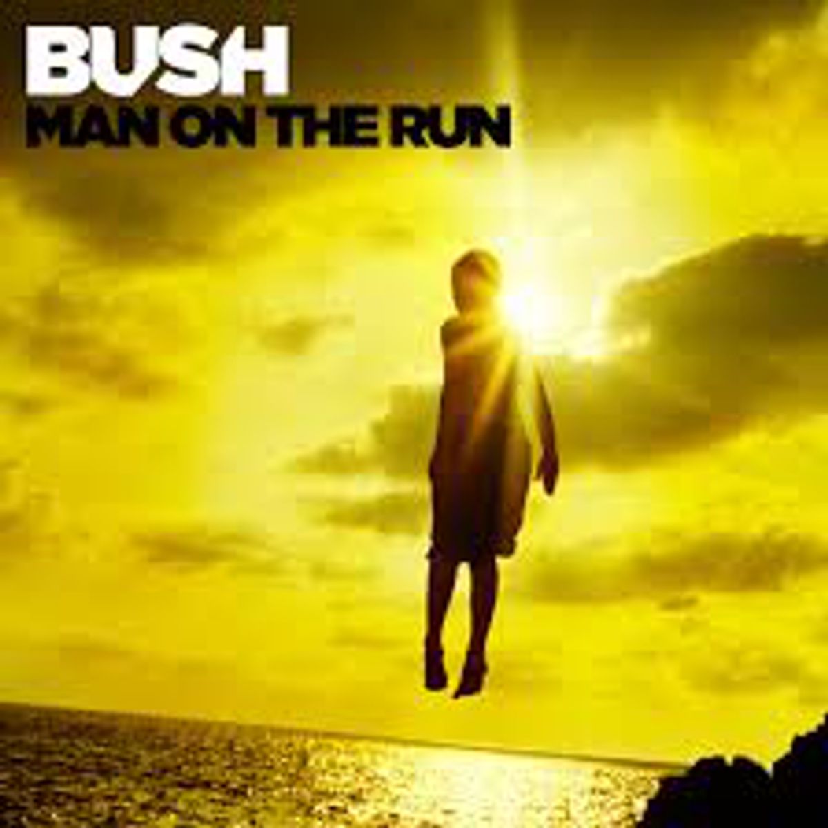 Man On The Run