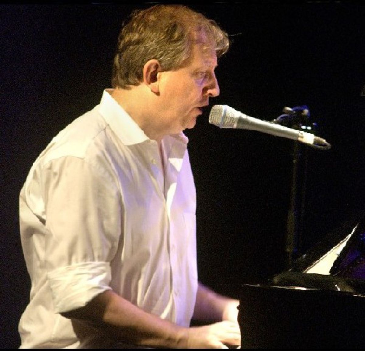 Wim Mertens solo - Het vogeltje in de kathedraal