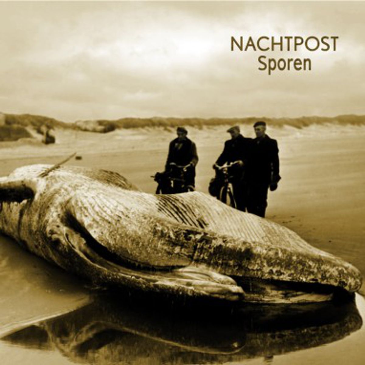 Sporen
