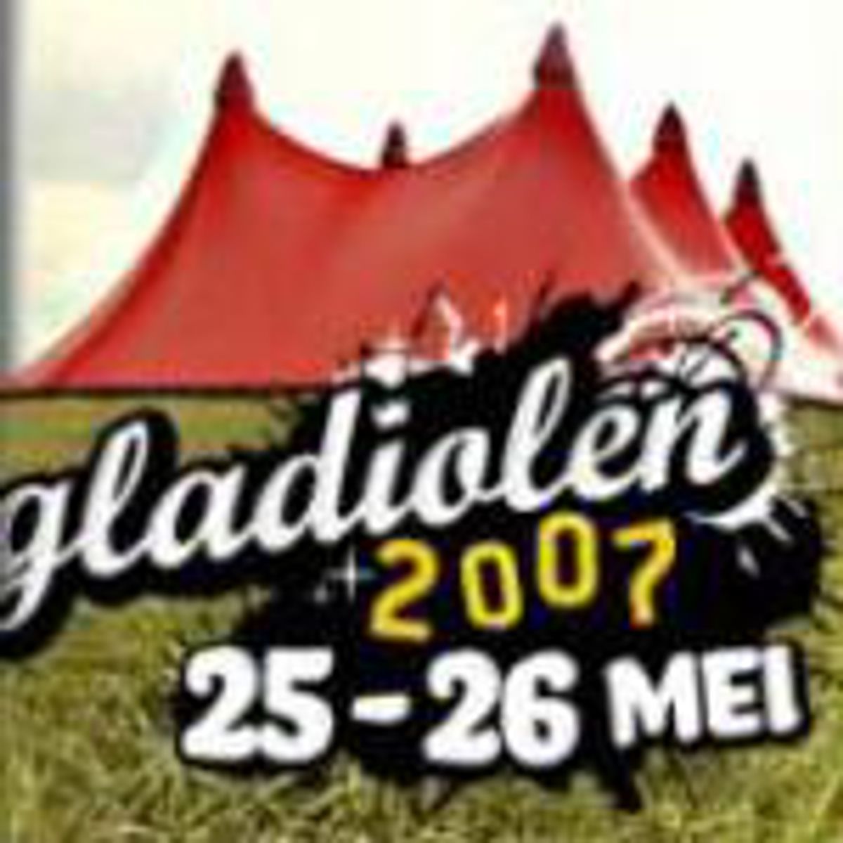 Gladiolen - Fotospecial