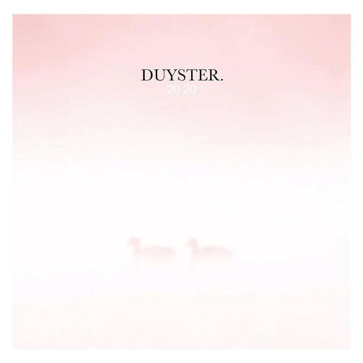 DUYSTER 2020 op vinyl