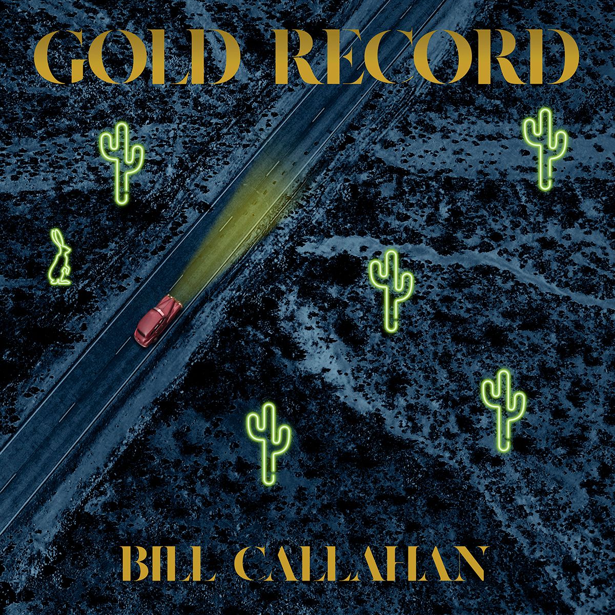 Bill Callahan zet duiven uit