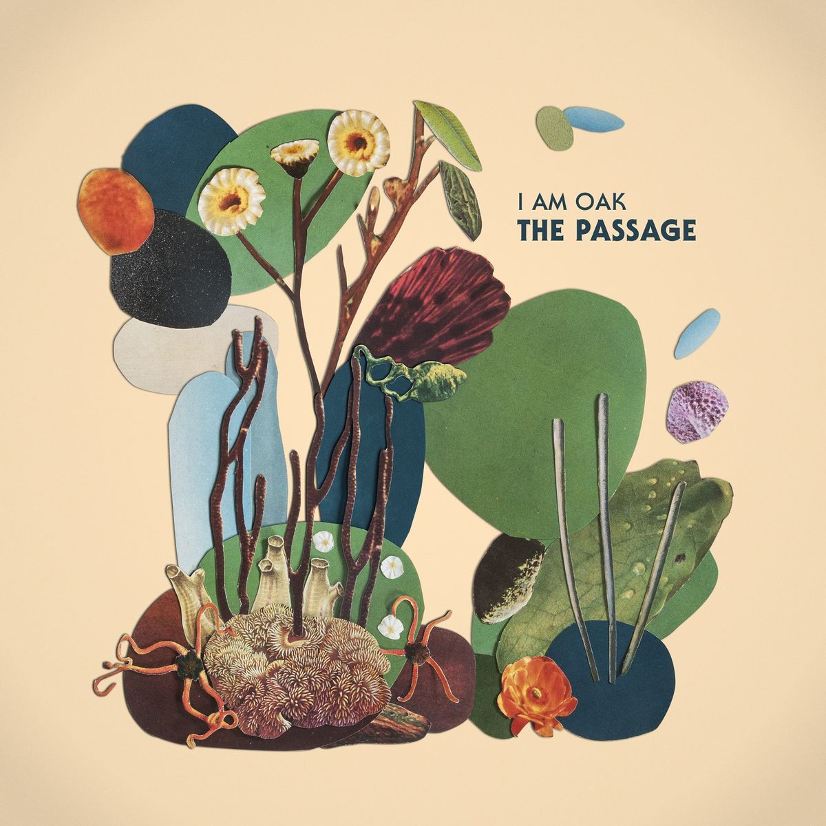 I Am Oak - The Passsage