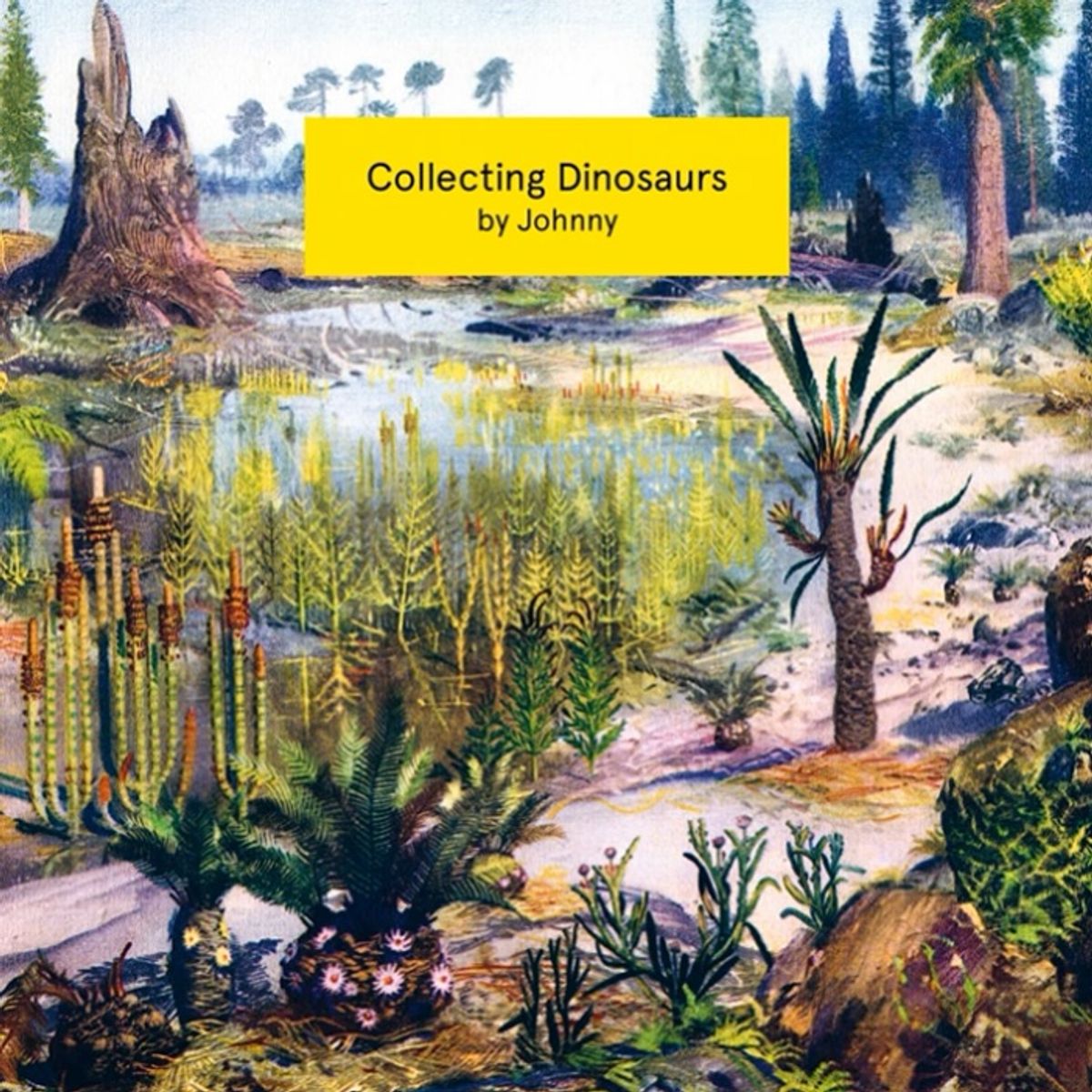 Collecting Dinosaurs