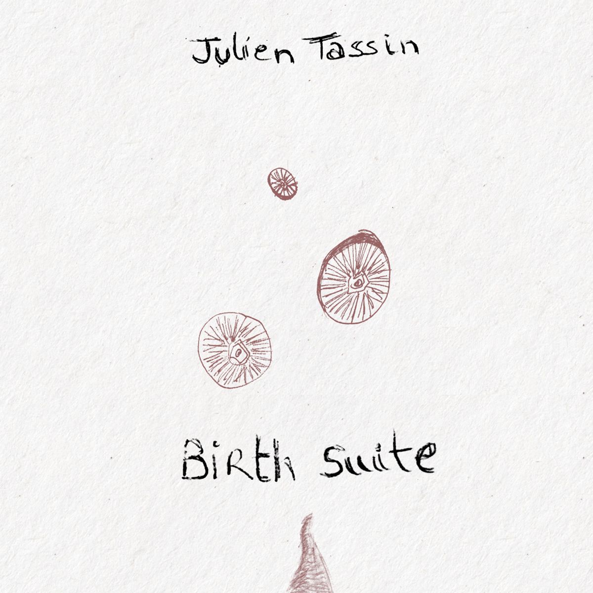 Julien Tassin - Birth Suite