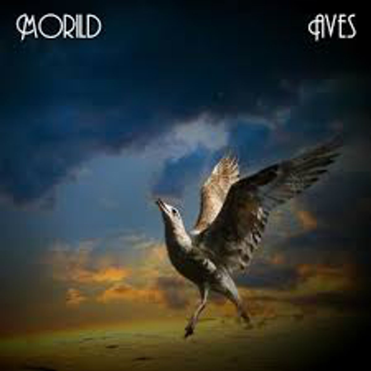 Morild Aves Damusic