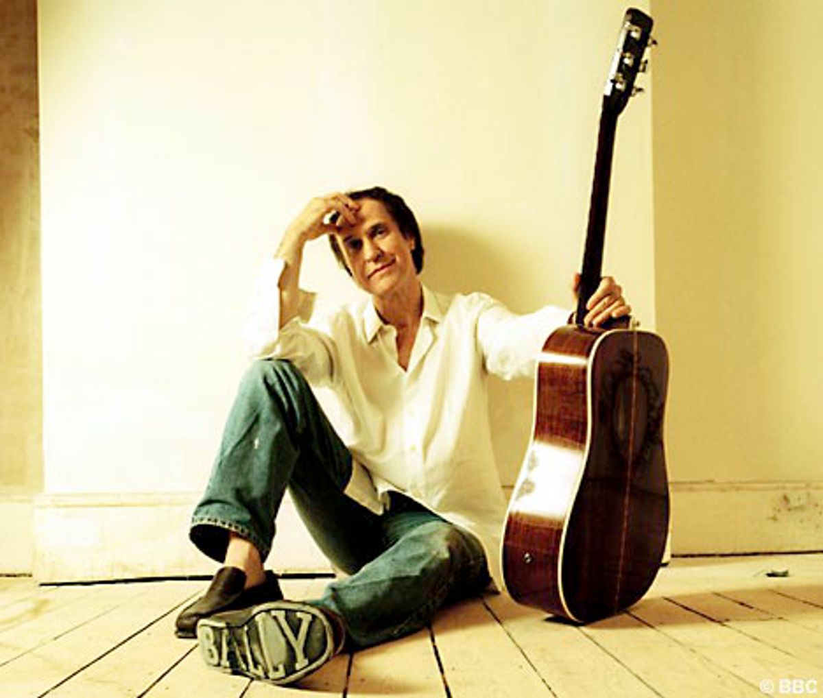 Ray Davies & Band - Houdbaarheidsdatum overschreden