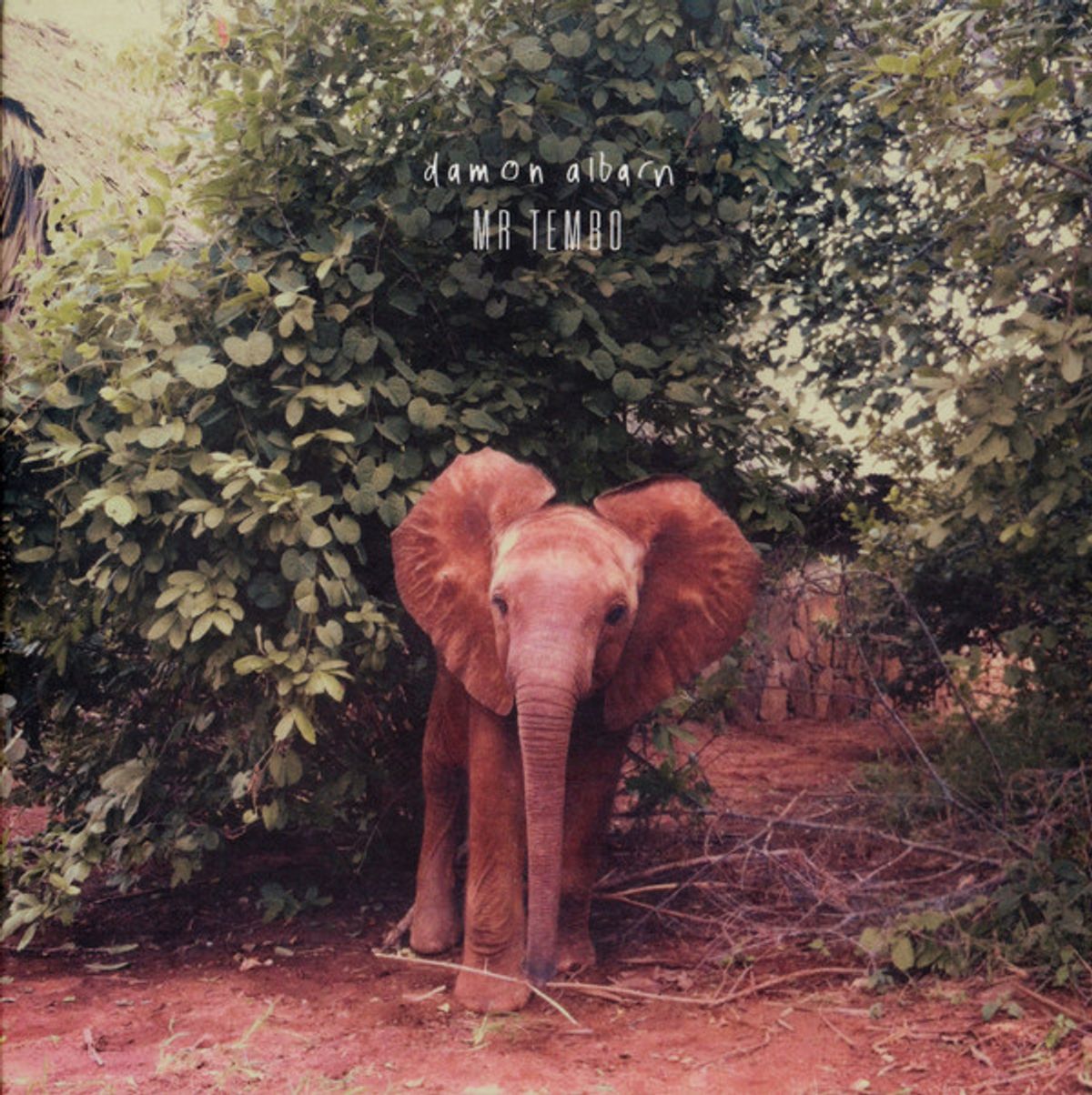 #TijdelijkeLoners - Damon Albarn - Mr Tembo (2014)