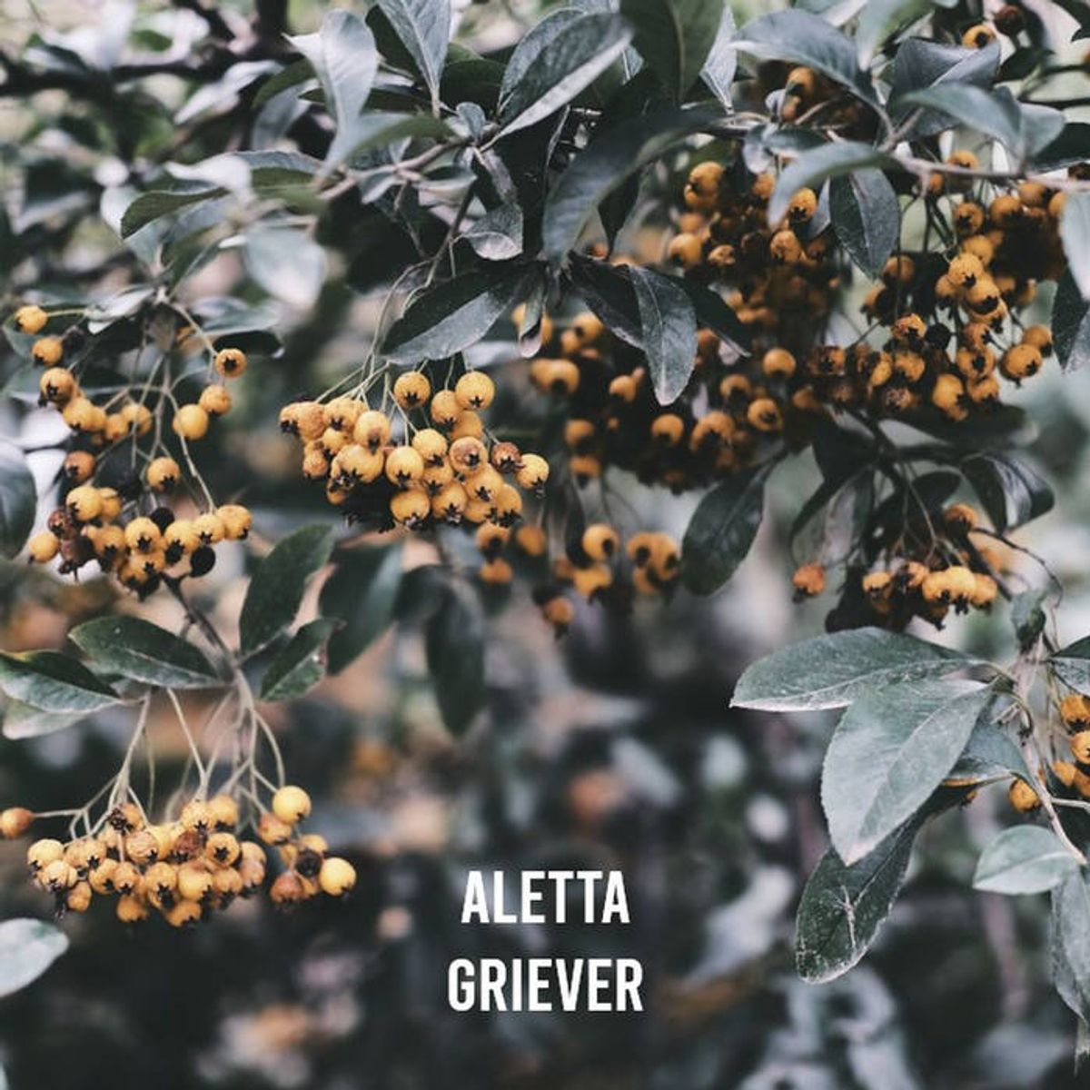 Aletta - Griever