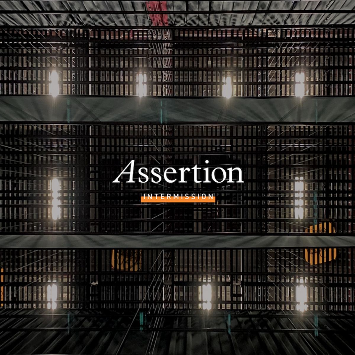 Assertion, dat is William Goldsmith (ex-Sunny Day Real Estate)