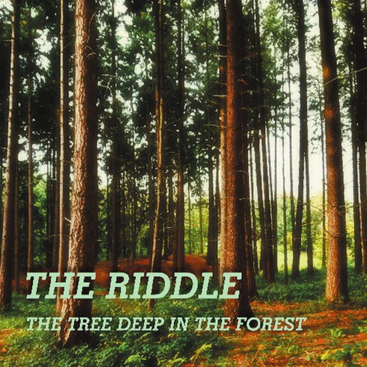 The Riddle - 'The Tree Deep In The Forest'