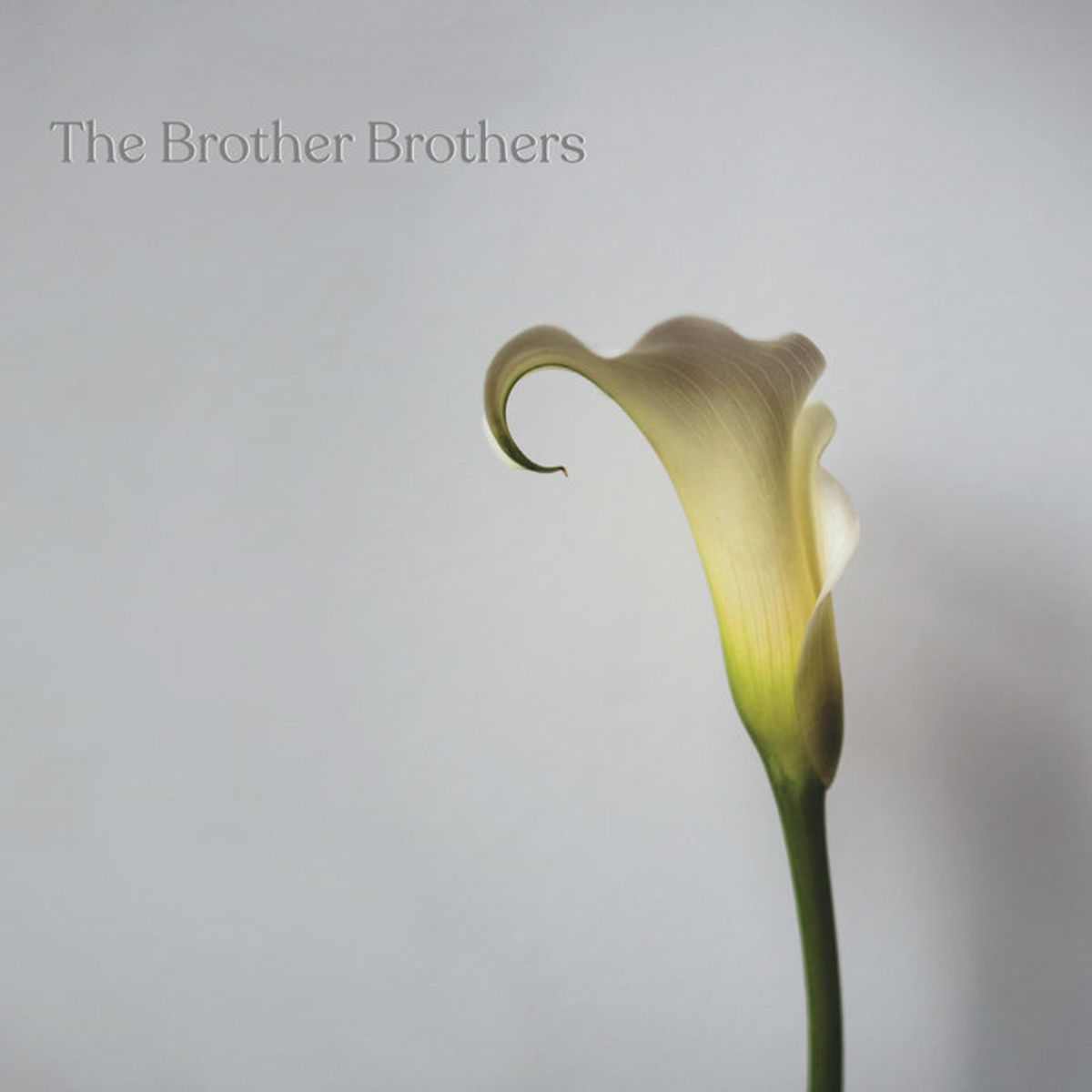 #DeSongsVan2021 - The Brother Brothers - The Calla Lilly Song (2021)