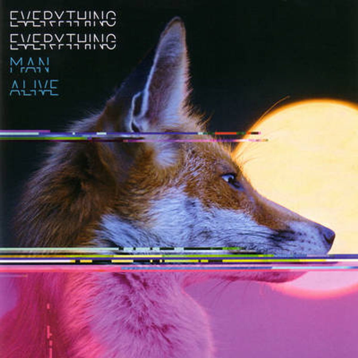 Man Alive