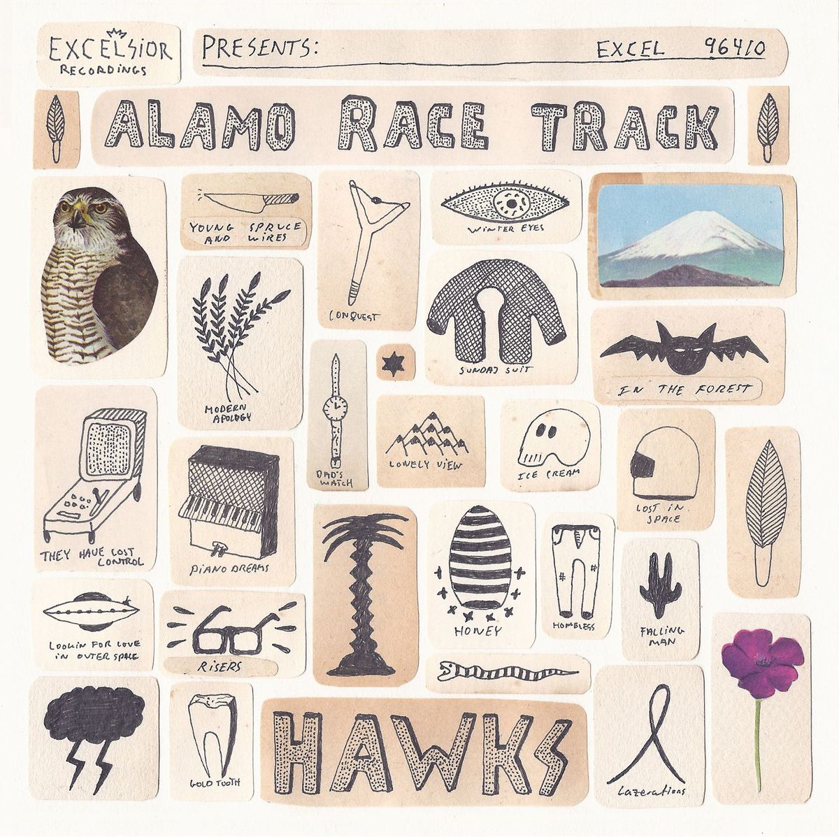 Hawks