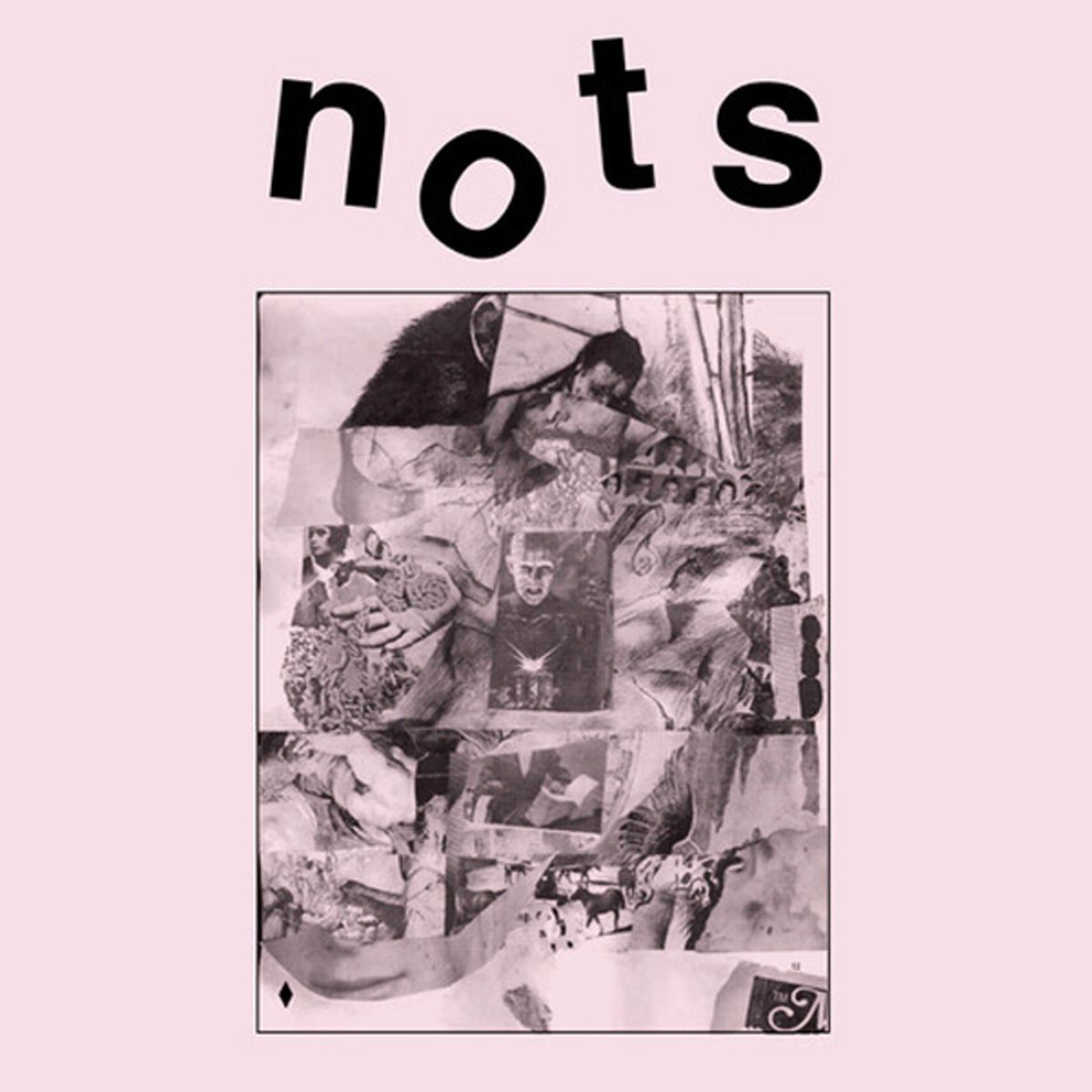 We Are The Nots