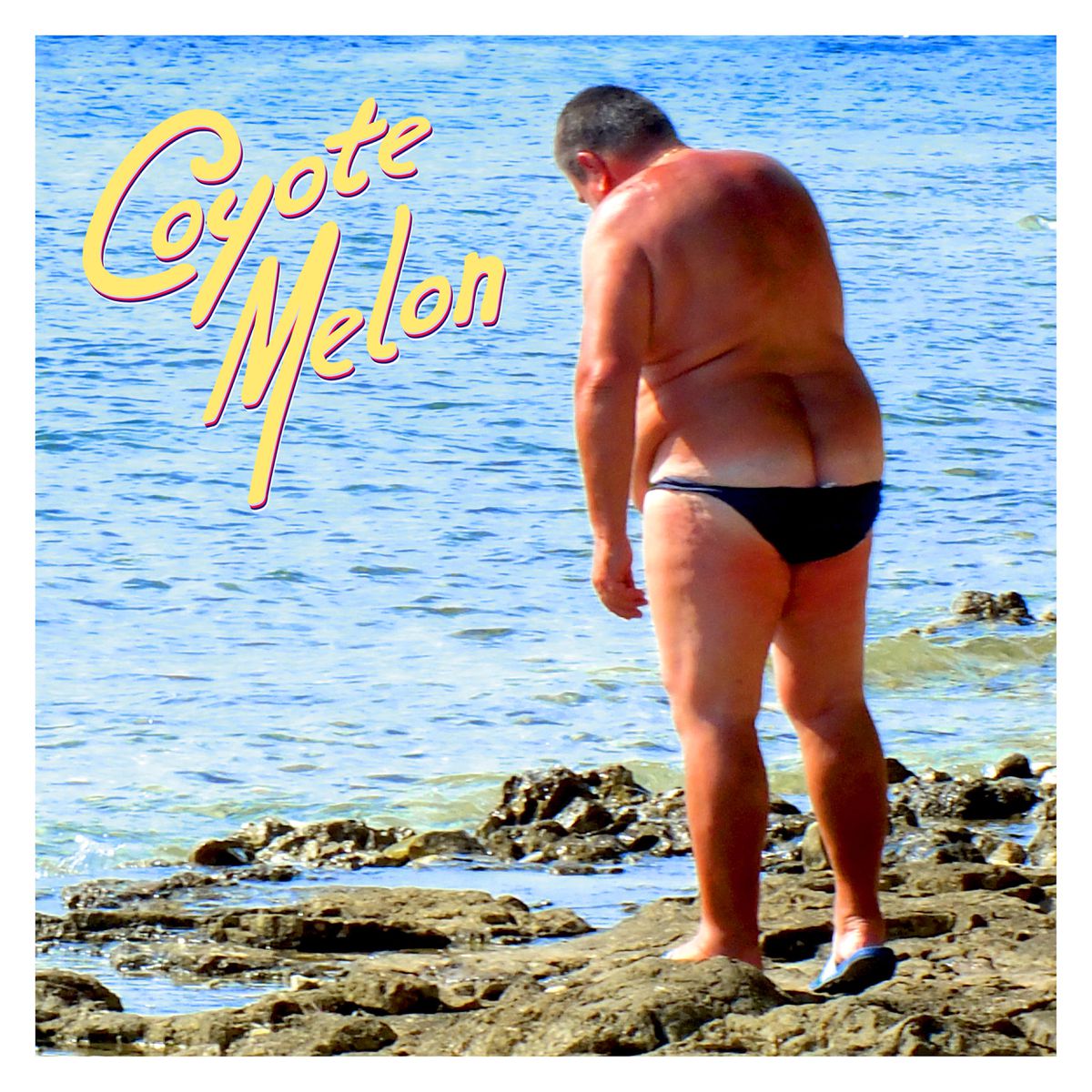 Coyote Melon - Casablanca