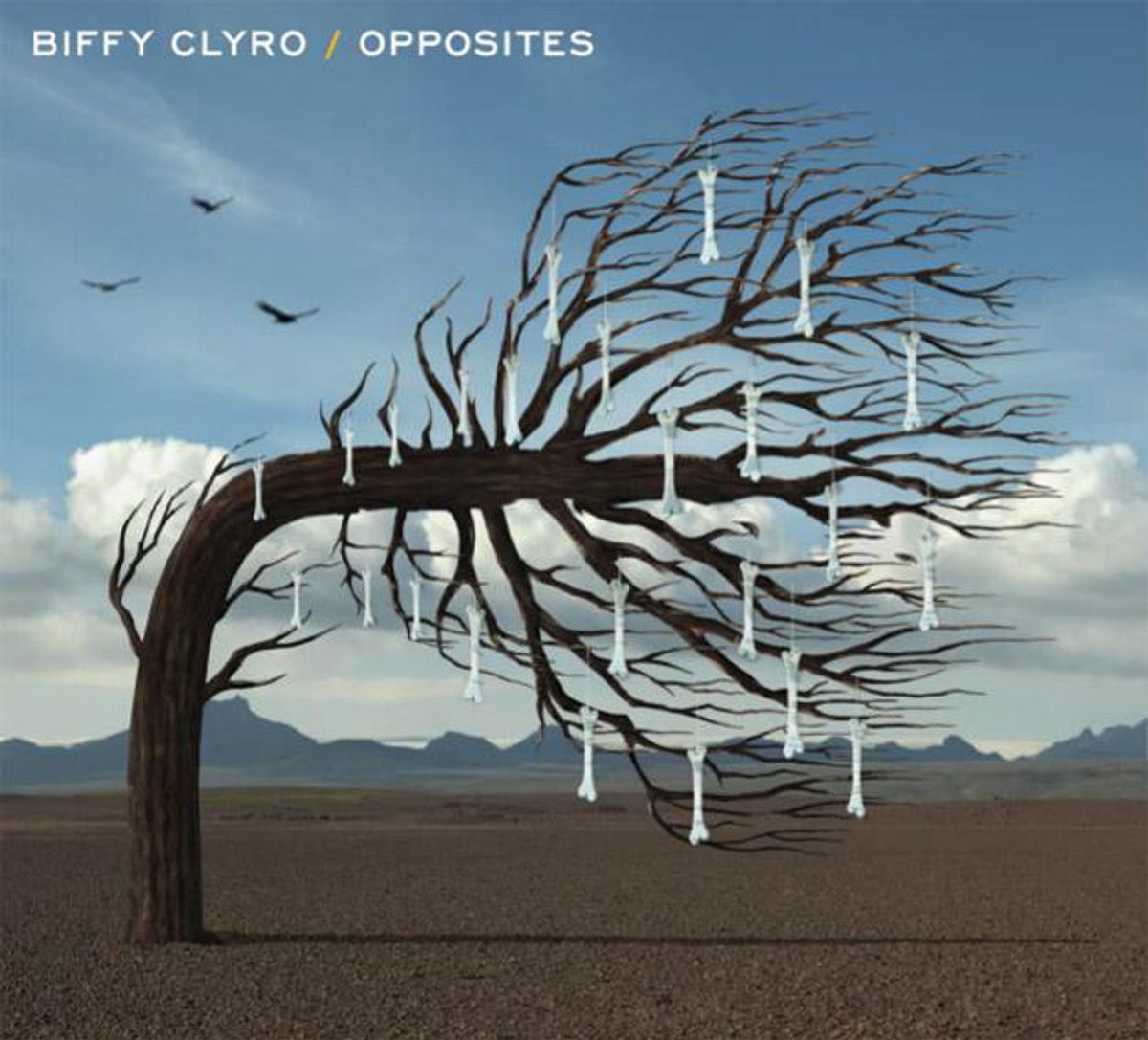 Opposites