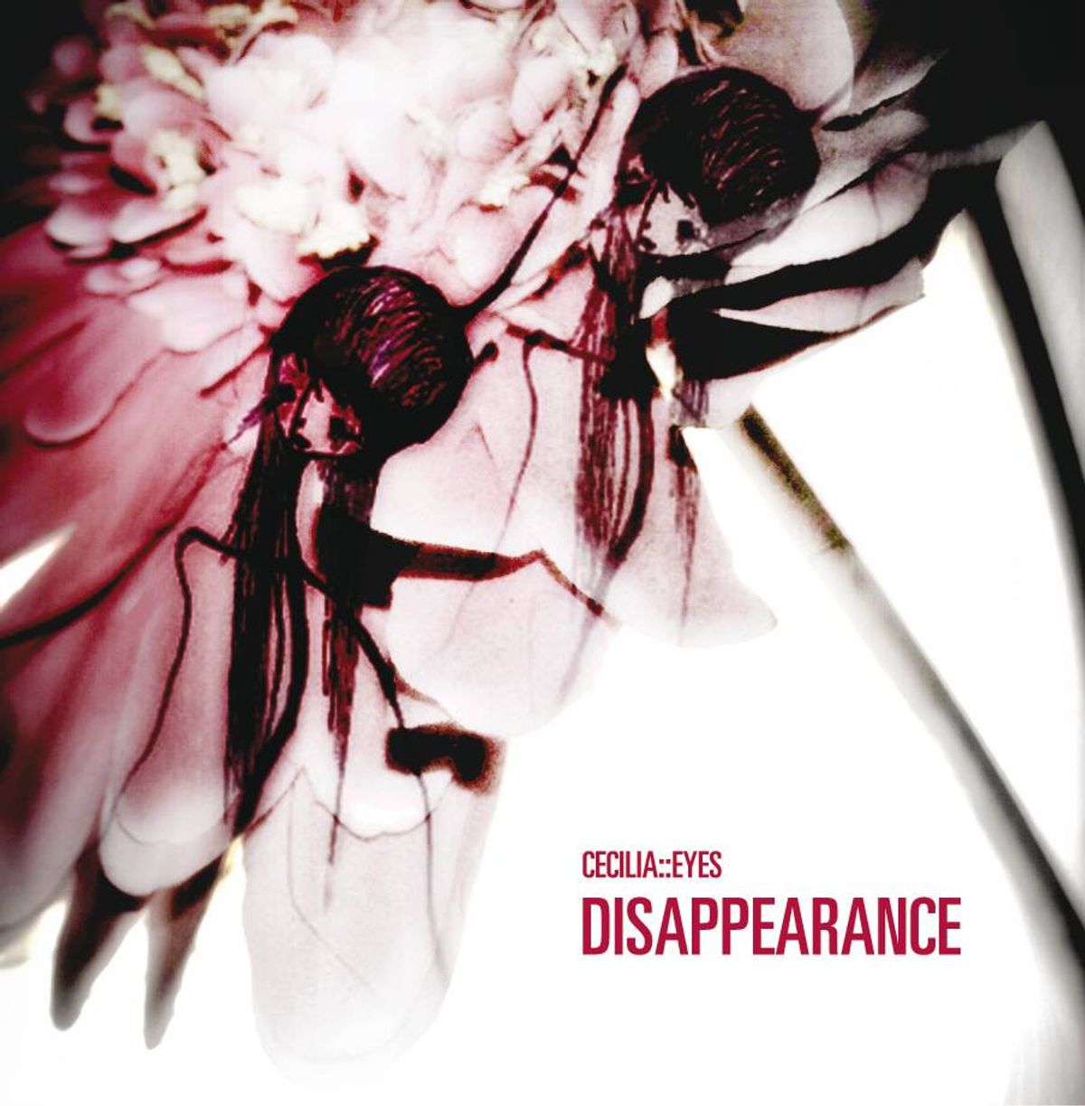 Disappearance
