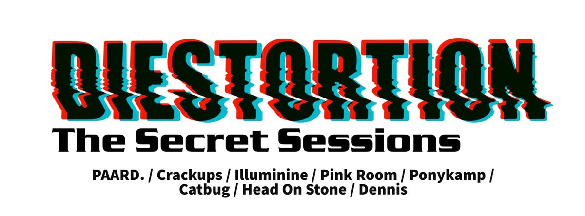 Terug Secret Sessions in Diest