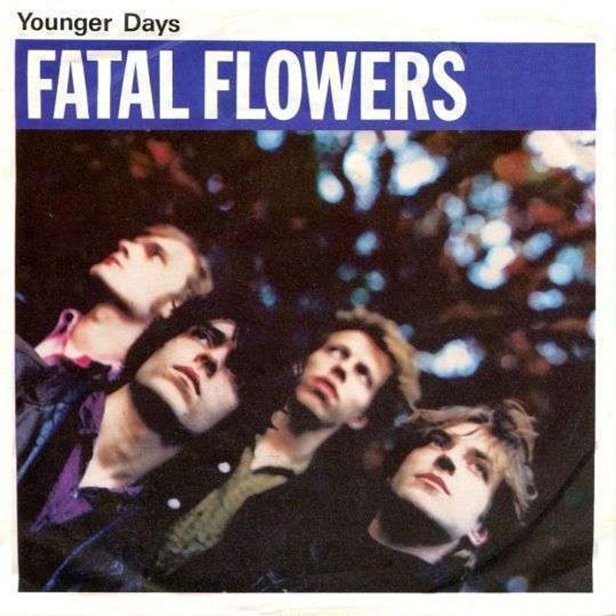 In The Dutch Mountains - Fatal Flowers