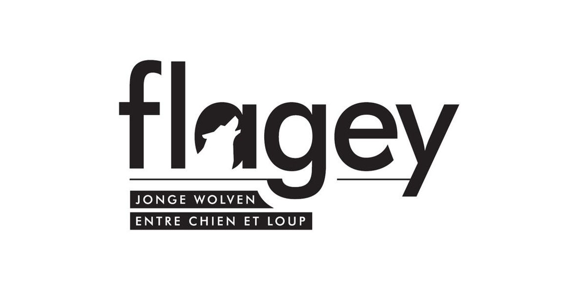 De jonge wolven van Flagey