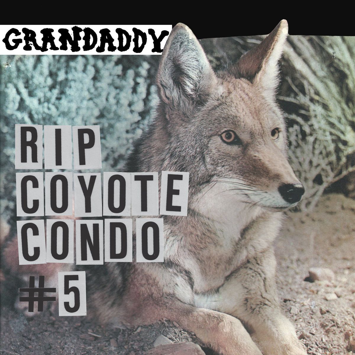 Grandaddy staat terug op