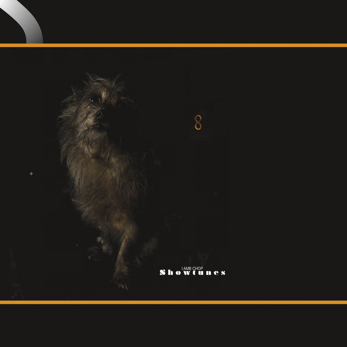 Lambchop pakt uit met 'Showtunes'