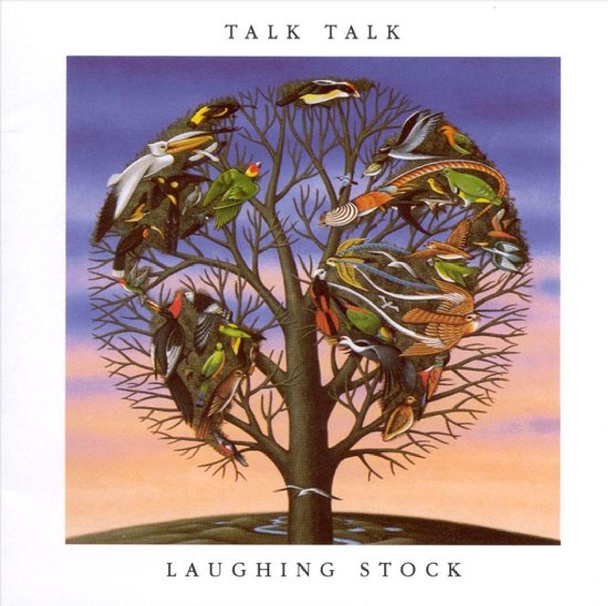#Zwanezang - Talk Talk - New Grass (1991)