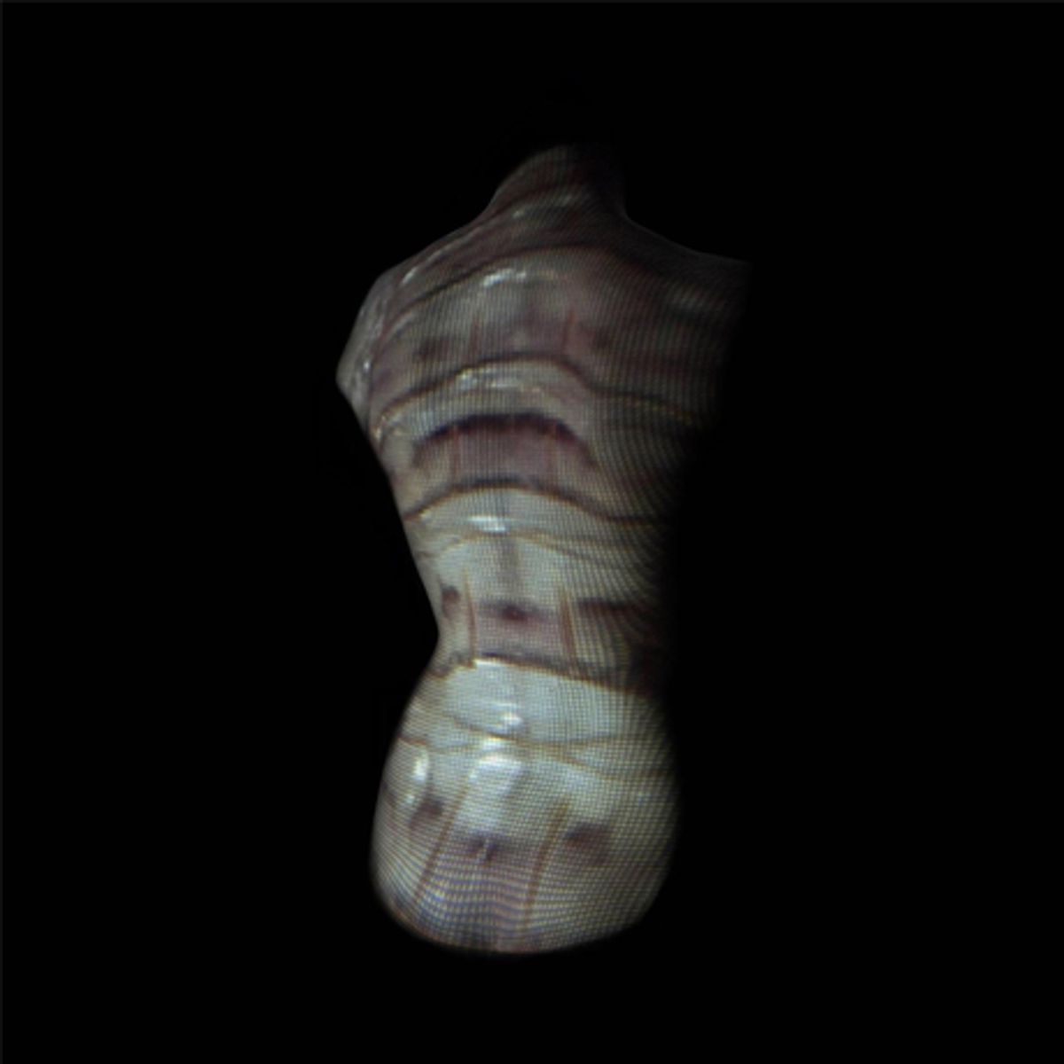 Marta Del Grandi - 'Invertebrates' (Eigen beheer)