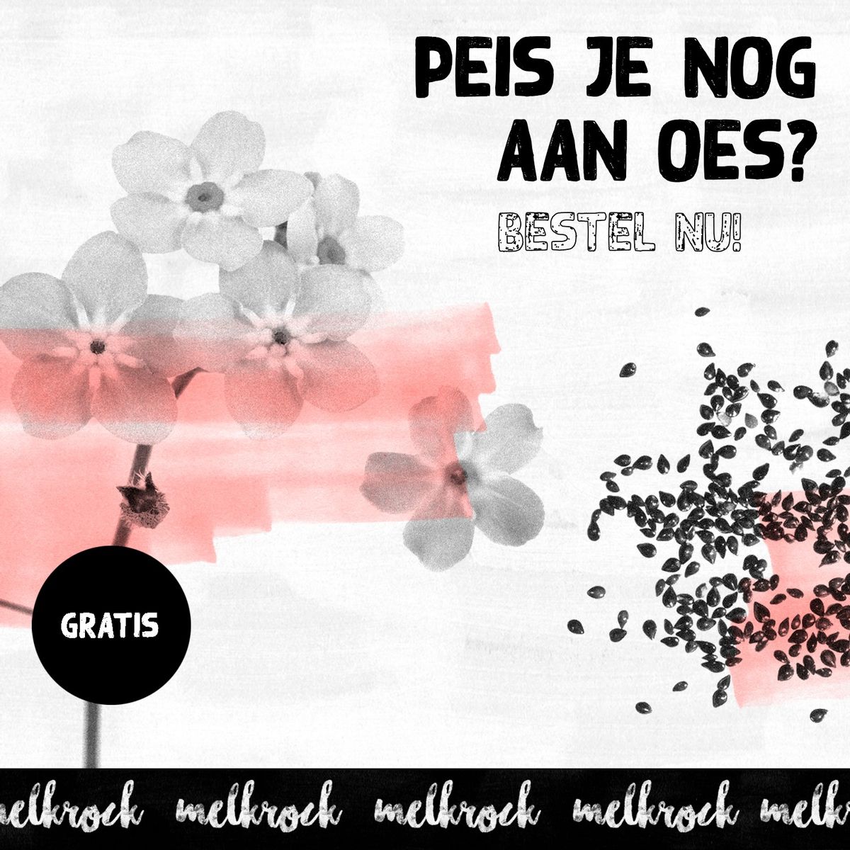 Melkrock blikt voor- en achteruit