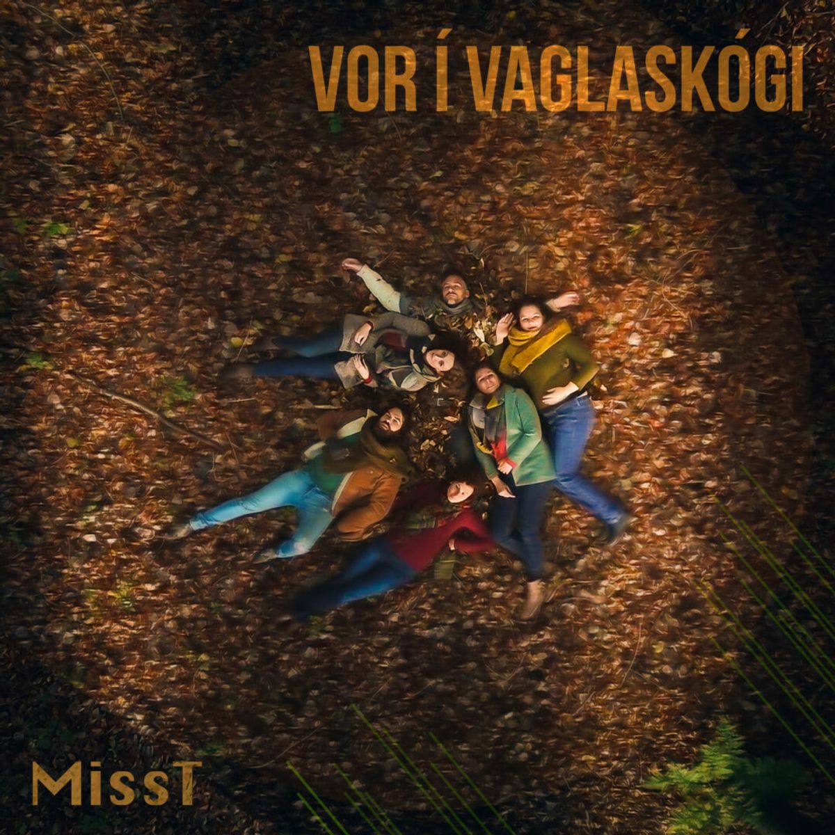 MIssT - Vor í Vaglaskógi