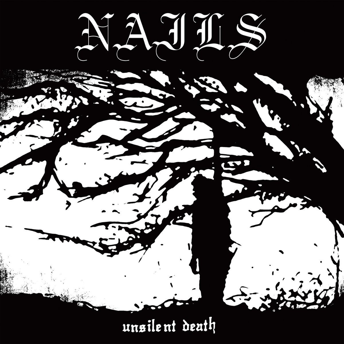 Heruitgave debuut van Nails