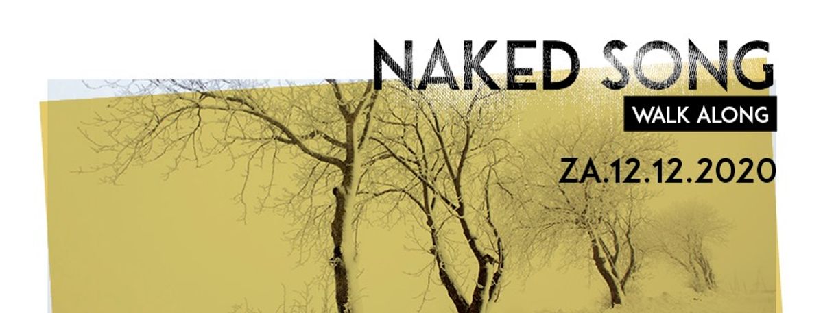 Fink, David Keenan en meer op Naked Song Walk Along