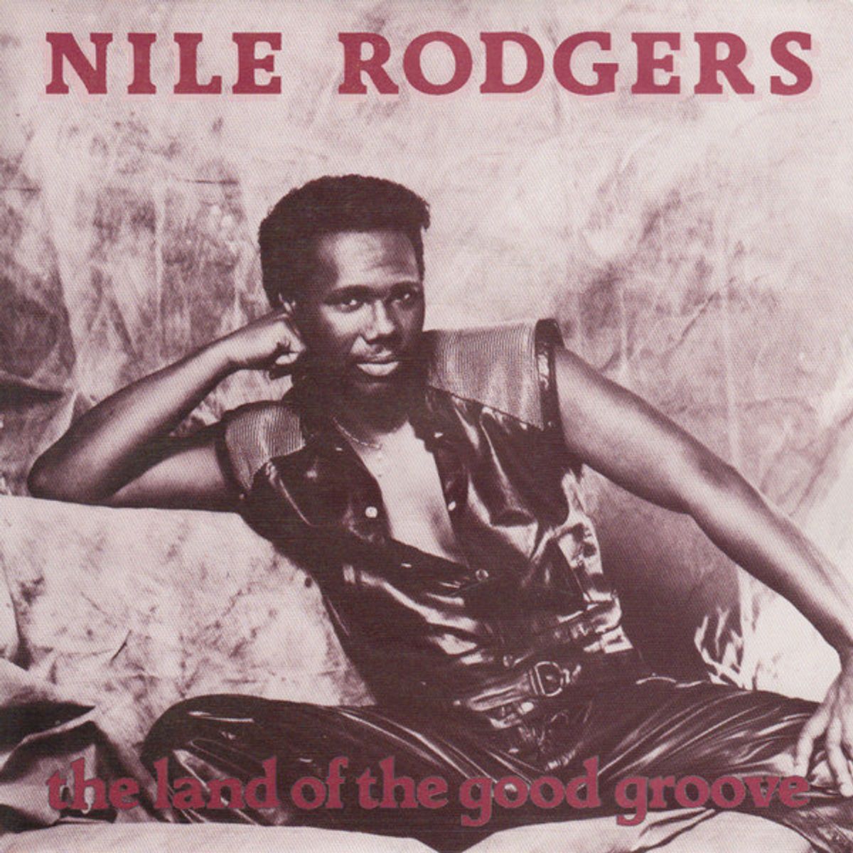#CestDuNile - Nile Rodgers - The Land Of The Good Groove (1983)