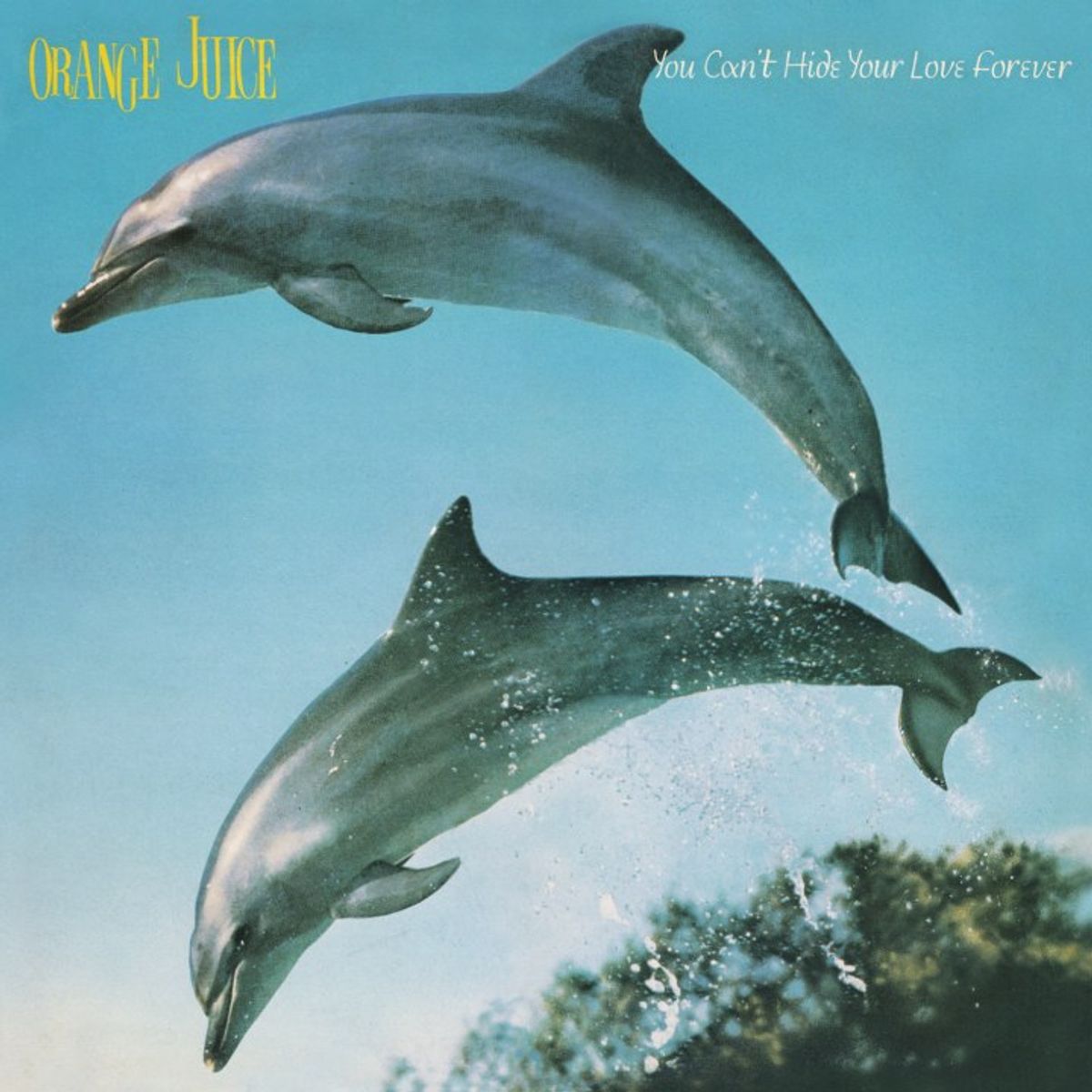 #NormanBlakeKiest Orange Juice - 'Consolation Prize' (1982)