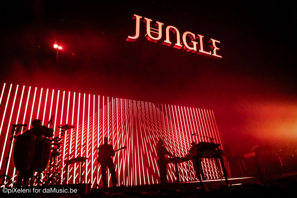 Jungle - Fotoreportage