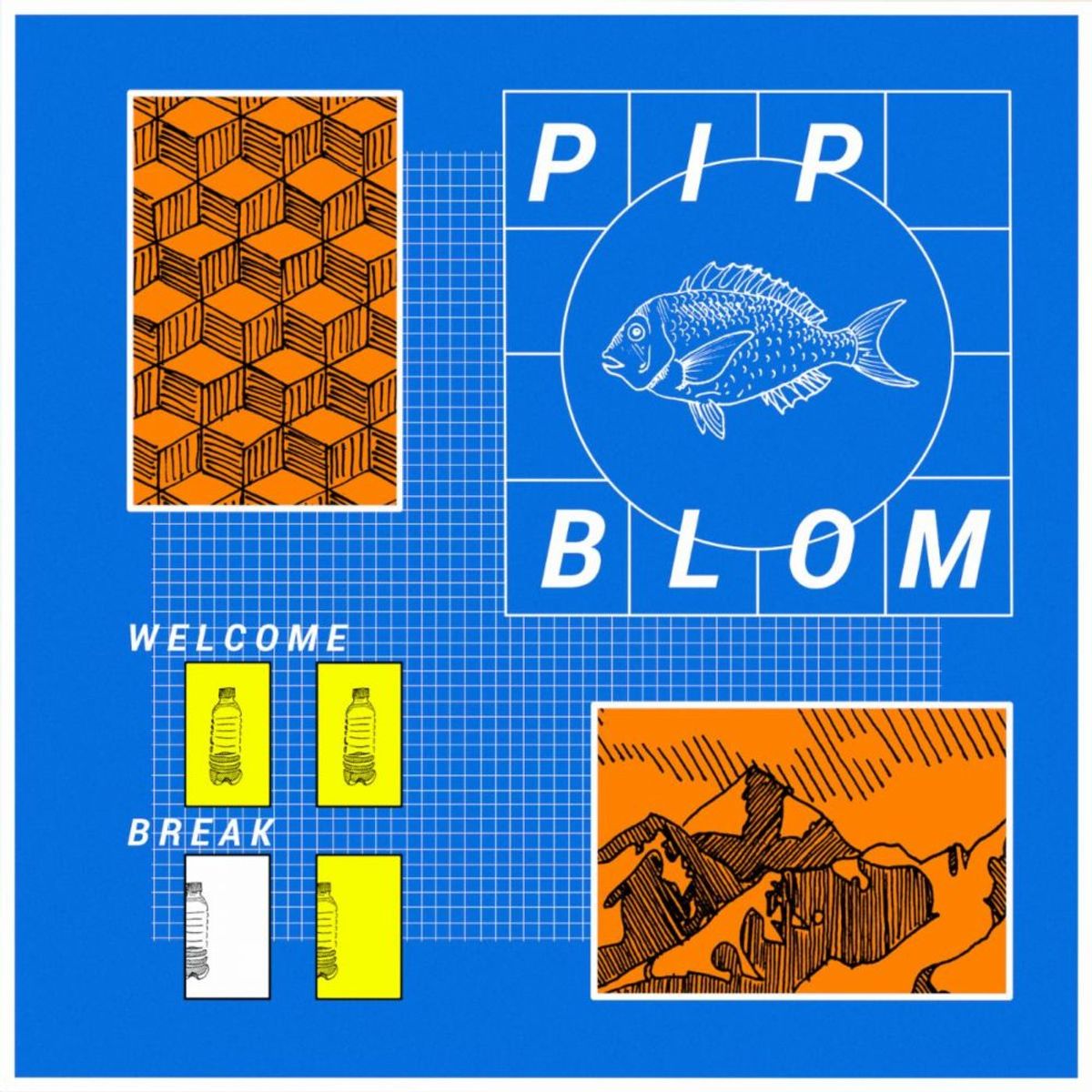 Pip Blom verwacht tweede album