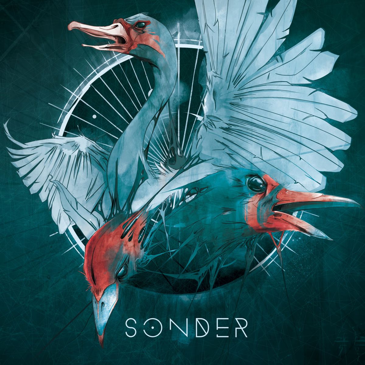 Sonder