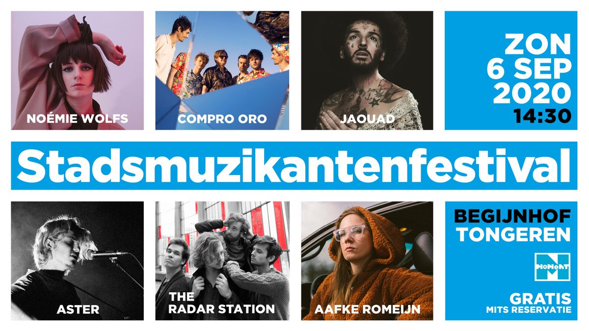 Ook deze zomer een Stadsmuzikantenfestival